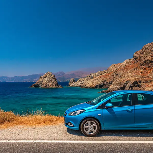 Exotica corsa2